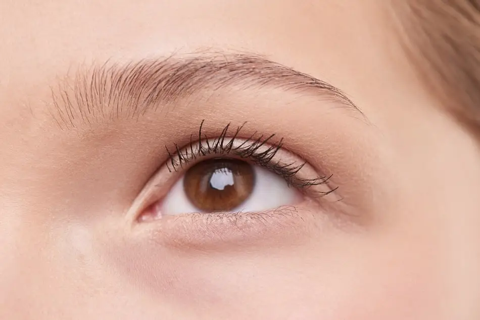 Argila nas sobrancelhas: benefícios e como usar