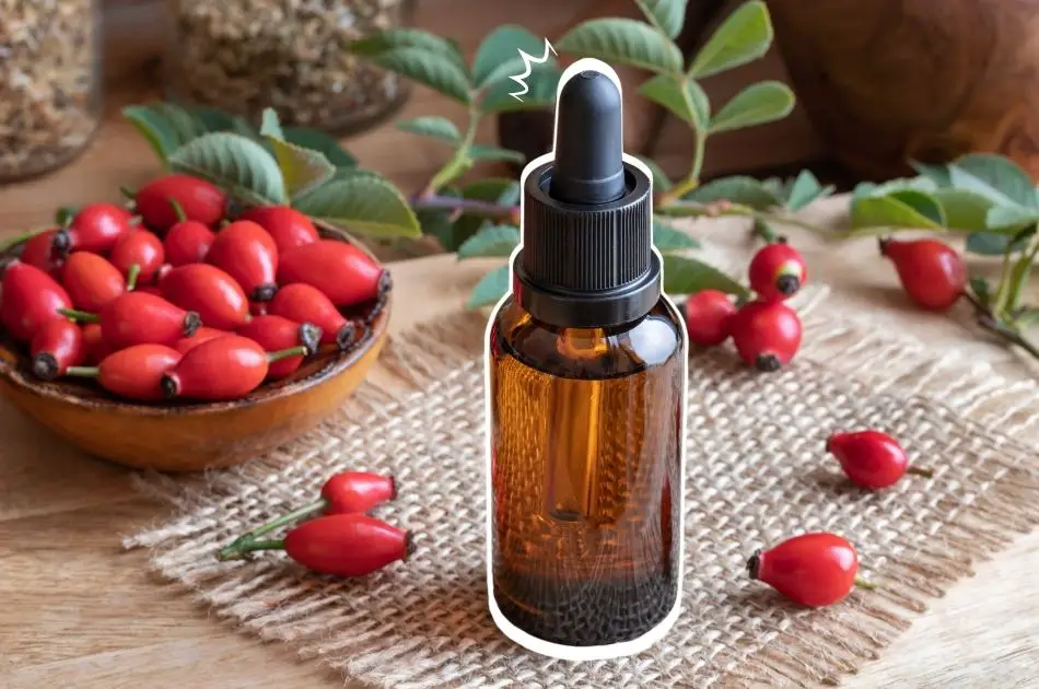 9 benefícios do óleo de rosa mosqueta para a pele